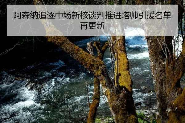 阿森纳追逐中场新核谈判推进塔帅引援名单再更新